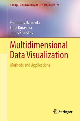 Multidimensional Data Visualization: Methods and Applications 2013 ed.