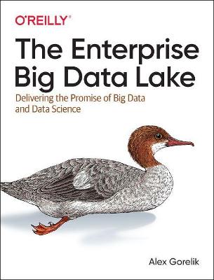 Enterprise Big Data Lake: Delivering the Promise of Big Data and Data Science