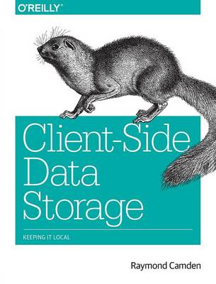 ClientSide Data Storage