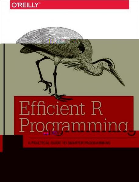 Efficient R Programming: A Practical Guide to Smarter Programming