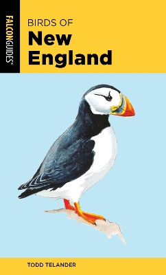Birds of New England 2nd edition