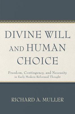 Divine Will and Human Choice: Freedom, Contingency, and Necessity in Early Modern Reformed Thought
