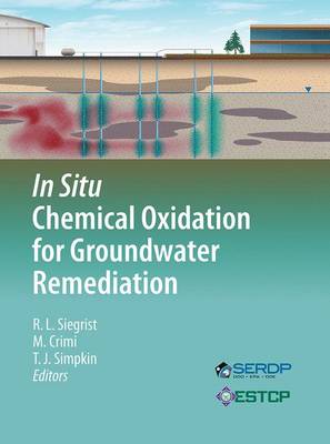 In Situ Chemical Oxidation for Groundwater Remediation Softcover reprint of the original 1st ed. 2011