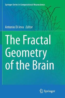 Fractal Geometry of the Brain Softcover Reprint of the Original 1st 2016 ed.