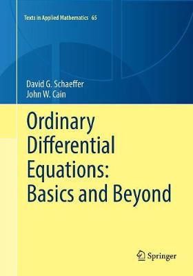 Ordinary Differential Equations: Basics and Beyond Softcover reprint of the original 1st ed. 2016