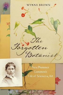 Forgotten Botanist: Sara Plummer Lemmon's Life of Science and Art