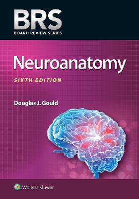 BRS Neuroanatomy 6th edition