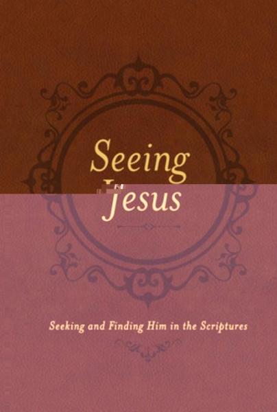 Seeing Jesus