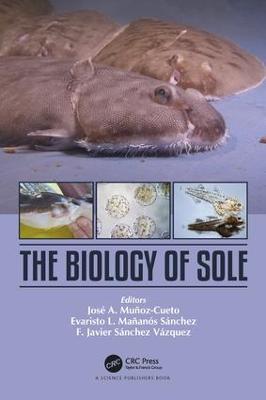 Biology of Sole