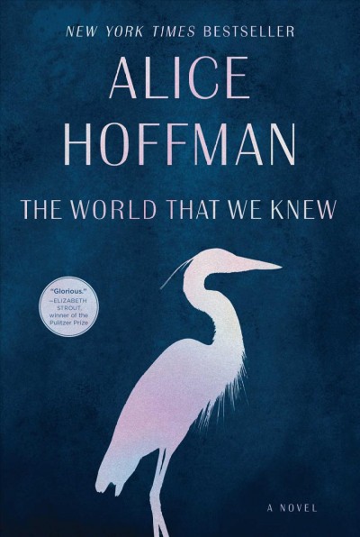 World That We Knew: A Novel