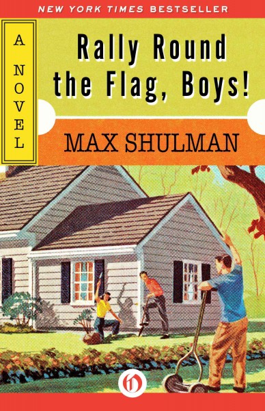 Rally Round the Flag, Boys!: A Novel