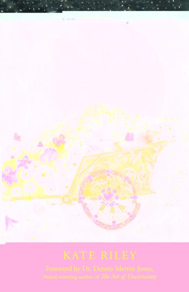 Launching Vee'S Chariot: An End-Of-Life Tale
