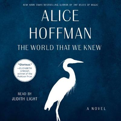 World That We Knew: A Novel