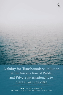 Liability for Transboundary Pollution at the Intersection of Public and  Private International Law