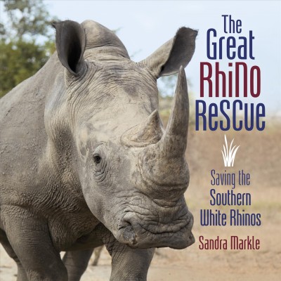 Great Rhino Rescue: Saving the Southern White Rhinos