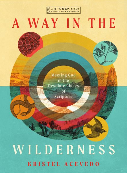Way in the Wilderness: Meeting God in the Desolate Places of Scripture--A 6-Week Bible Study