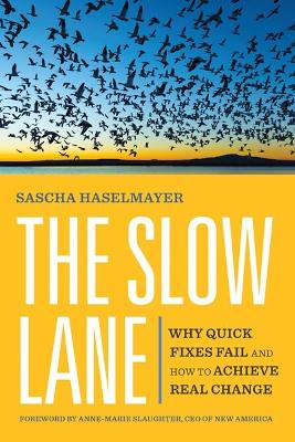 Slow Lane: Why Quick Fixes Fail and How to Achieve Real Change