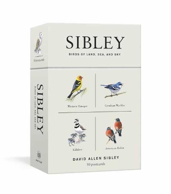 Sibley Birds of Land, Sea, and Sky: 50 Postcards
