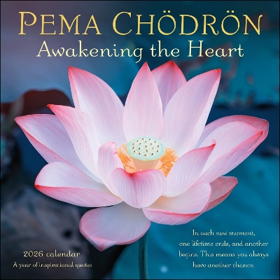 Pema Chödrön 2026 Wall Calendar: Awakening the HeartA Year of Inspiring Quotes