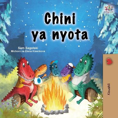 Chini ya nyota