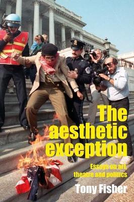 aesthetic exception: Essays on art, theatre, and politics