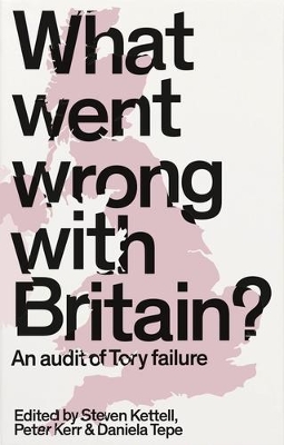 What Went Wrong with Britain?: An Audit of Tory Failure