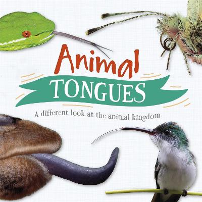 Animal Tongues: A different look at the animal kingdom Illustrated edition