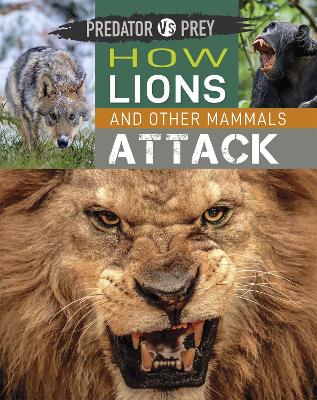 Predator vs Prey: How Lions and other Mammals Attack Illustrated edition