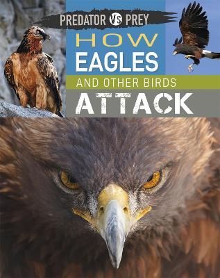 Predator vs Prey: How Eagles and other Birds Attack Illustrated edition