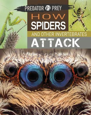 Predator vs Prey: How Spiders and other Invertebrates Attack Illustrated edition