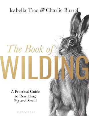 Book of Wilding: A Practical Guide to Rewilding, Big and Small