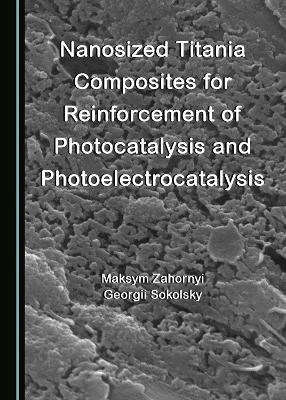 Nanosized Titania Composites for Reinforcement of Photocatalysis and Photoelectrocatalysis