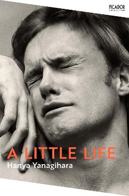 Little Life: The Million-Copy Bestseller