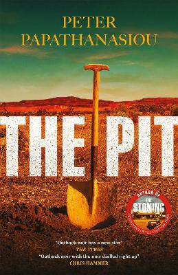 Pit: By the author of THE STONING, The crime debut of the year