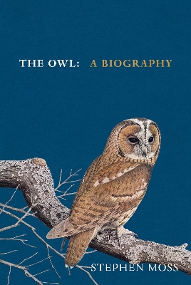 Owl: A Biography