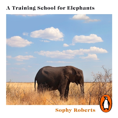 Training School for Elephants