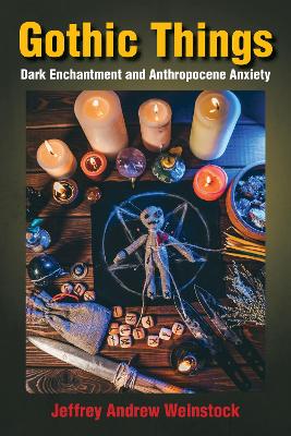 Gothic Things: Dark Enchantment and Anthropocene Anxiety New edition