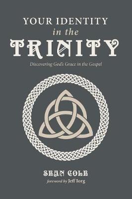 Your Identity in the Trinity: Discovering God's Grace in the Gospel