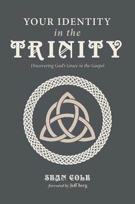 Your Identity in the Trinity: Discovering God's Grace in the Gospel