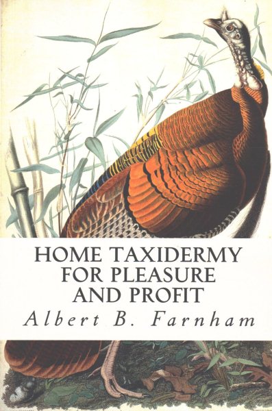 Home Taxidermy for Pleasure and Profit