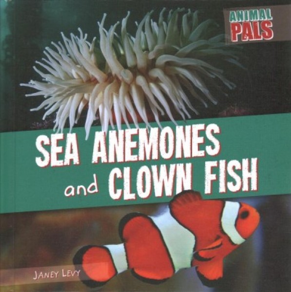 Sea Anemones and Clown Fish