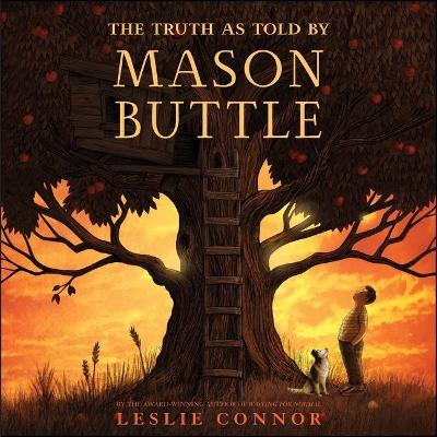 Truth as Told by Mason Buttle Library ed.