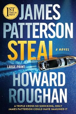 Steal Large type / large print edition