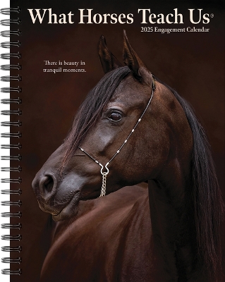 What Horses Teach Us 2026 6.5 X 8.5 Engagement Calendar