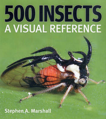 500 Insects: A Visual Reference