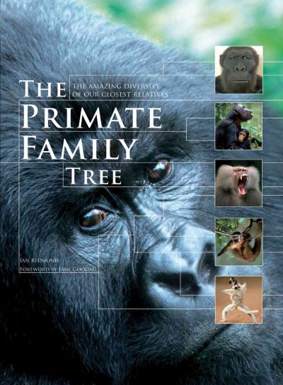 Primate Family Tree: The Amazing Diversity of Our Closest Relatives