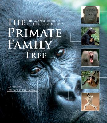 Primate Family Tree: The Amazing Diversity of Our Closest Relatives