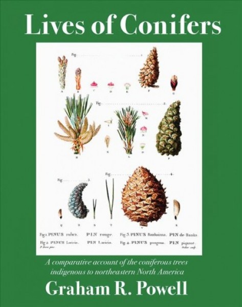 Lives of Conifers: A Comparative Account of the Coniferous Trees Indigenous to Northeastern  North America