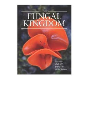 Fungal Kingdom 1