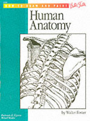 Anatomy